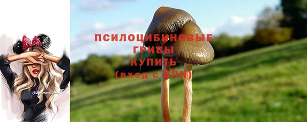 прущие крисы Усинск